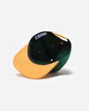 UNDEFEATED SP26 PLAY DIRTY SNAPBACK - HUNTER GREEN