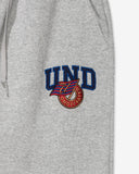 FA26 UNDEFEATED TEAM FLEECE PANT - HEATHER GREY