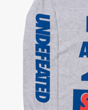 UNDEFEATED HO25 DON'T ASK L/S TEE - HEATHER-GREY
