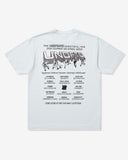 UNDEFEATED TEAM STORE S/S TEE ICE