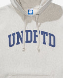 UNDEFEATED ARCH PULLOVER HOOD - HEATHER-OATMEAL