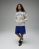 UNDEFEATED ARCH PULLOVER HOOD - HEATHER-OATMEAL