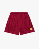 UNDEFEATED ICON HOOP SHORT CARDINAL