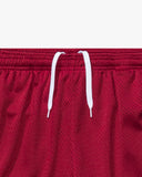 UNDEFEATED ICON HOOP SHORT CARDINAL