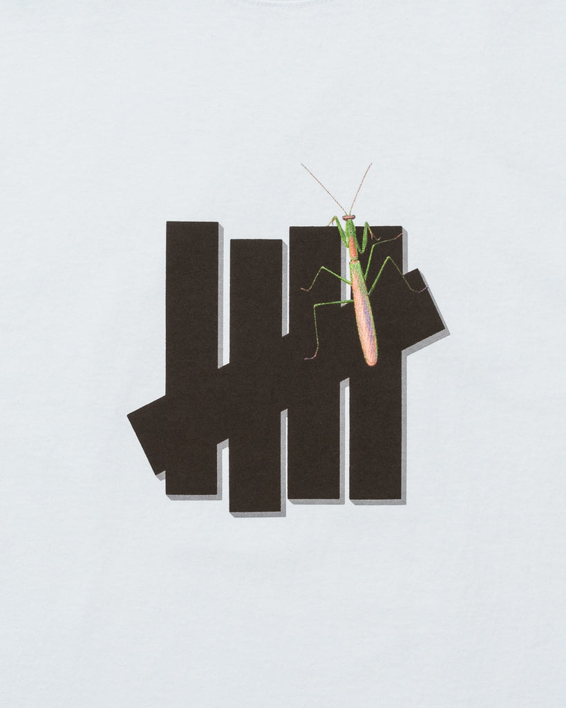 UNDEFEATED MANTIS S/S TEE ICE